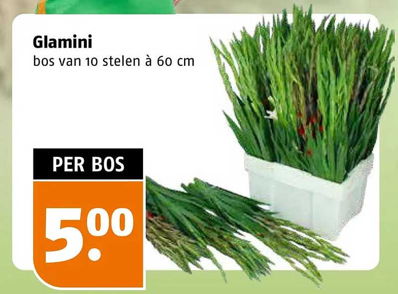 Glamini bos van 10 stelen à 60 cm