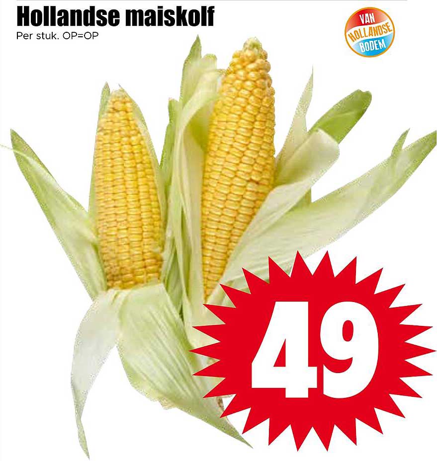 Hollandse maiskolf