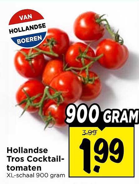 Hollandse Tros Cocktail-tomaten XL-schaal 900 gram