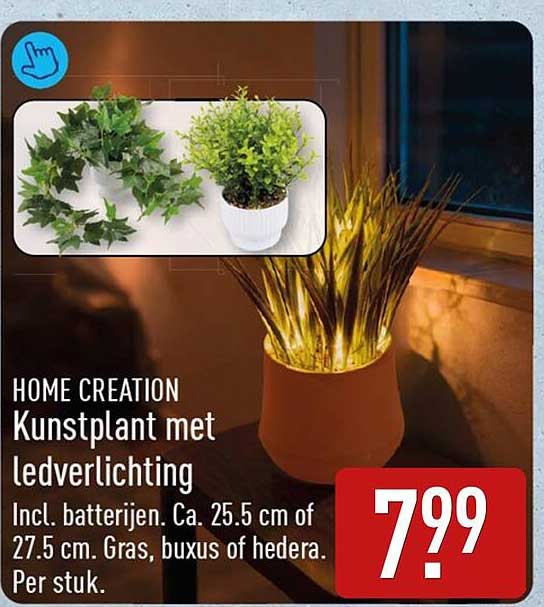 HOME CREATION Kunstplant met ledverlichting