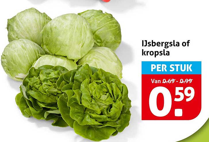 IJsbergsla of kropsla PER STUK