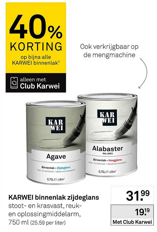 KARWEI binnenlak zijdeglans