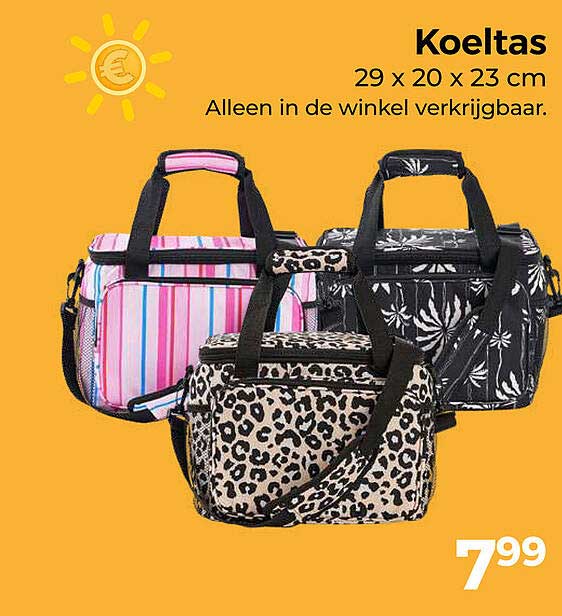 Koeltas 29 x 20 x 23 cm Alleen in de winkel verkrijgbaar.