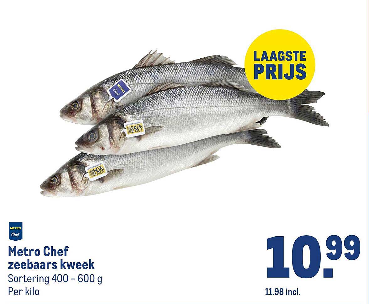 Metro Chef zeebaars kweek Sortering 400 - 600 g Per kilo