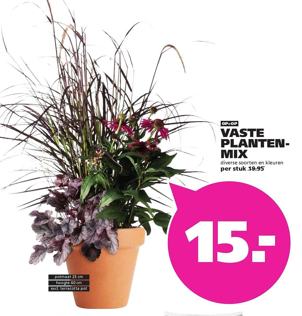 OP=OP VASTE PLANTEN-MIX