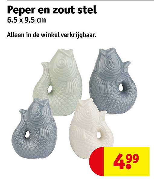 Peper en zout stel 6.5 x 9.5 cm