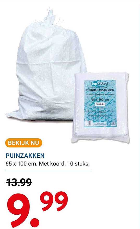 PUINZAKKEN 65 x 100 cm. Met koord. 10 stuks.