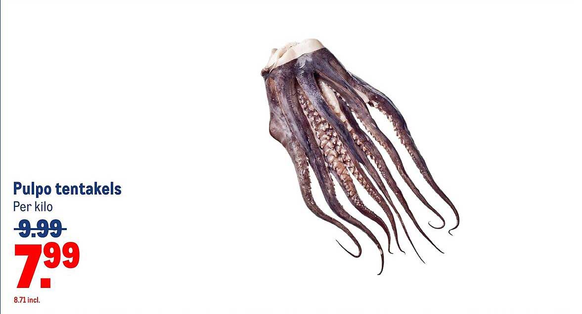 Pulpo tentakels