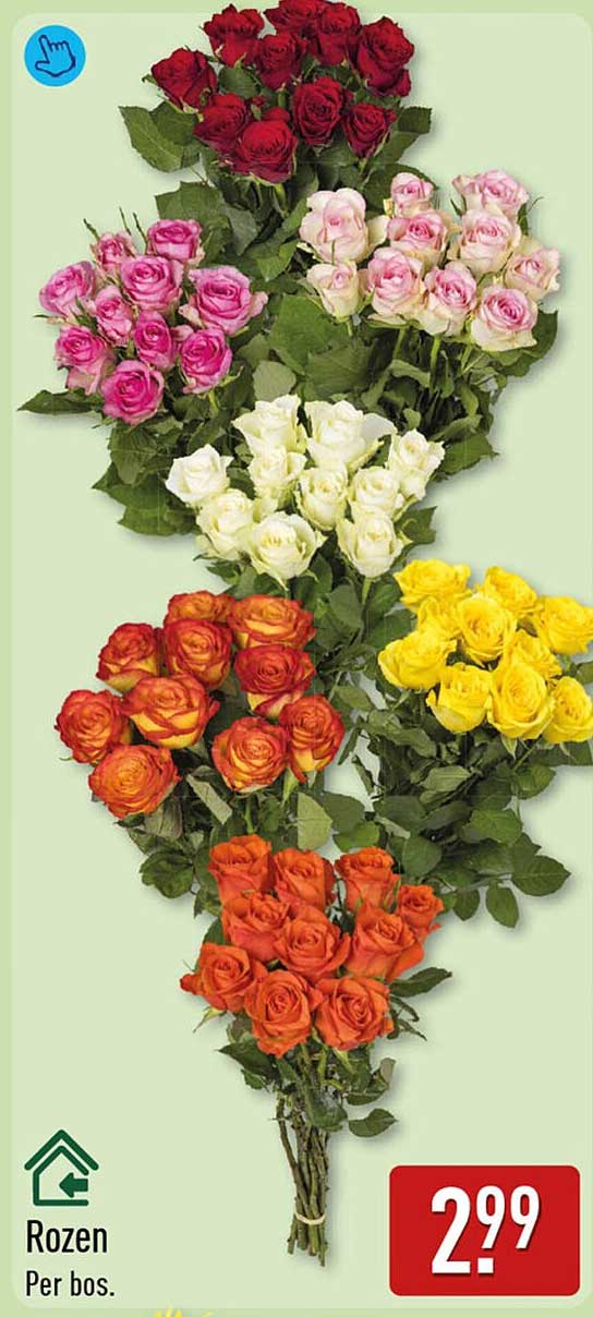 Rozen Per bos.