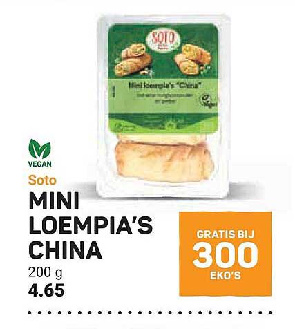 Soto MINI LOEMPIA'S CHINA