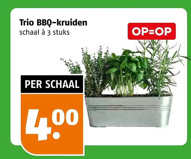 Trio BBQ-kruiden schaal à 3 stuks OP=OP