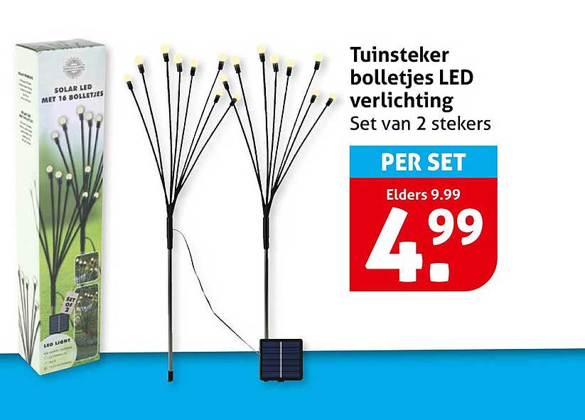 Tuinsteker bolletjes LED verlichting Set van 2 stekers