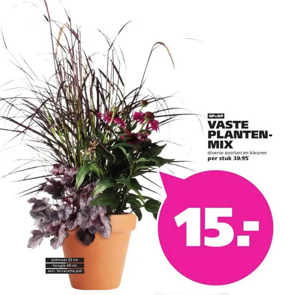 VASTE PLANTEN-MIX