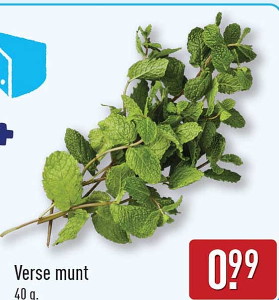 Verse munt 40 g.