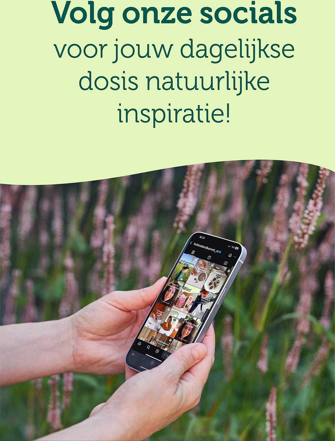 Volg onze socials voor jouw dagelijkse dosis natuurlijke inspiratie!