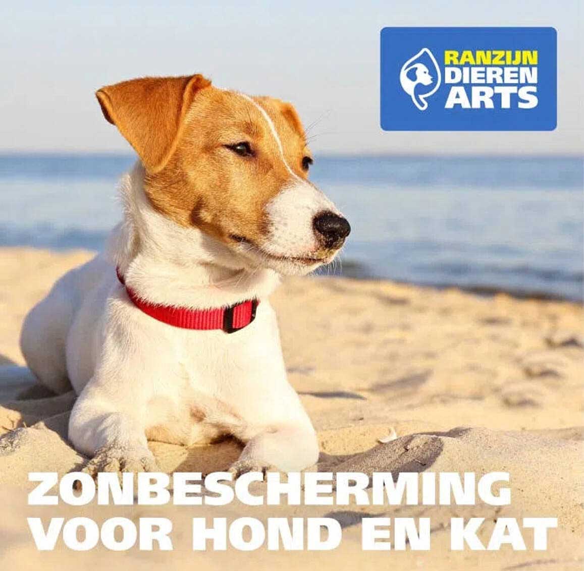ZONBESCHERMING VOOR HOND EN KAT