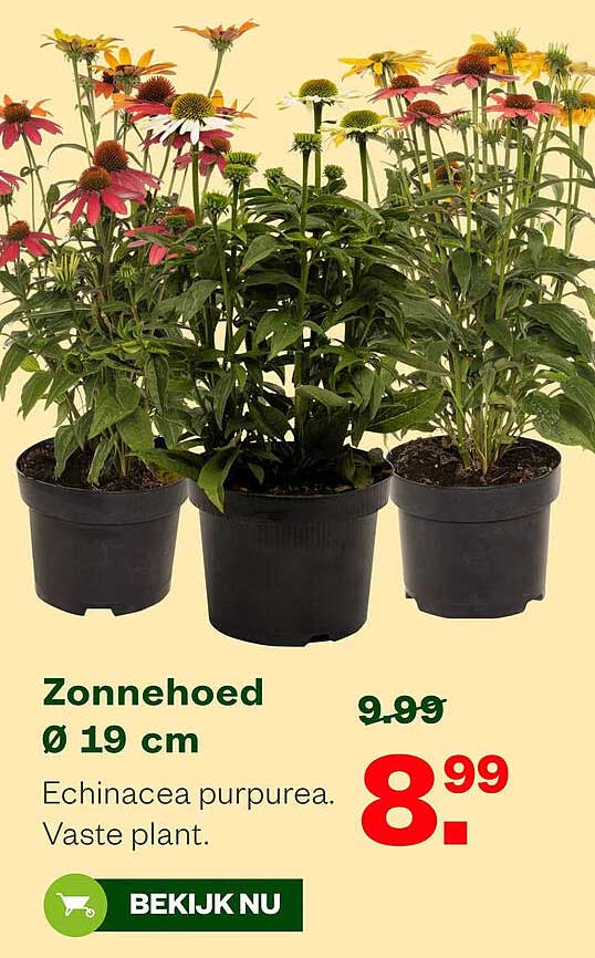 Zonnehoed Ø 19 cm