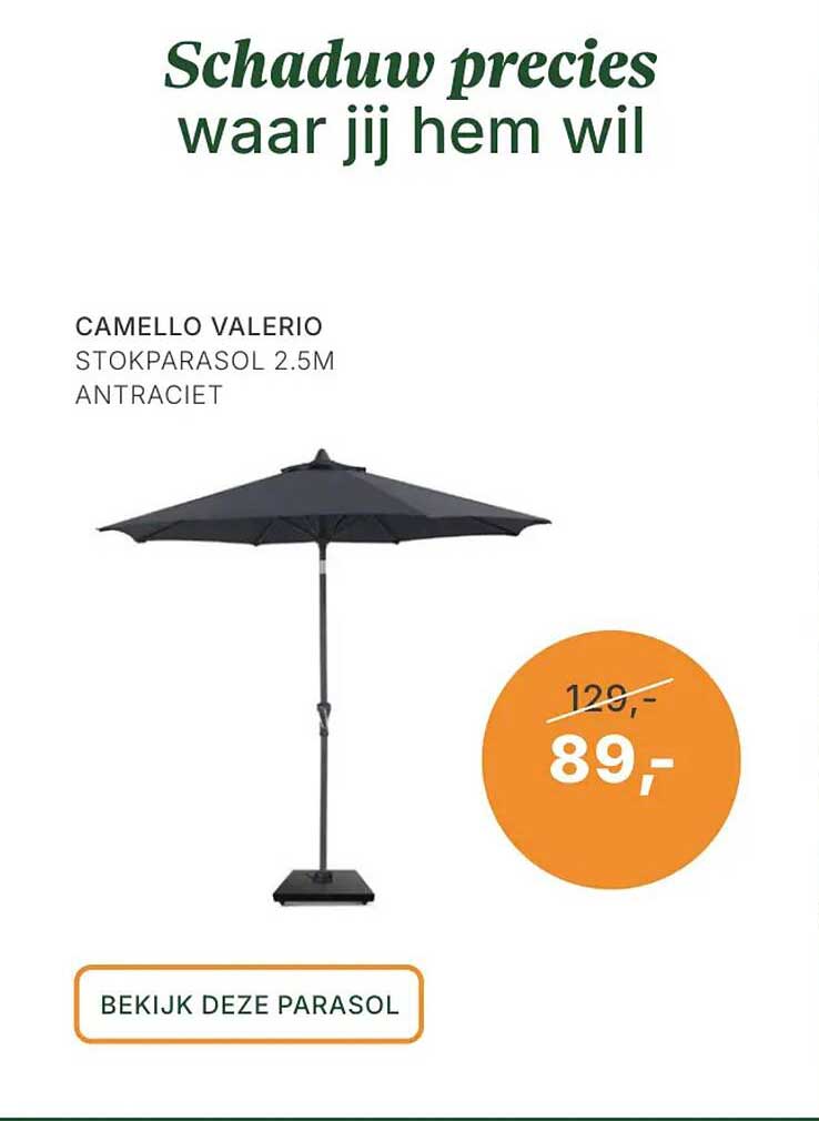 CAMELLO VALERIO STOKPARASOL 2.5M ANTRACIET