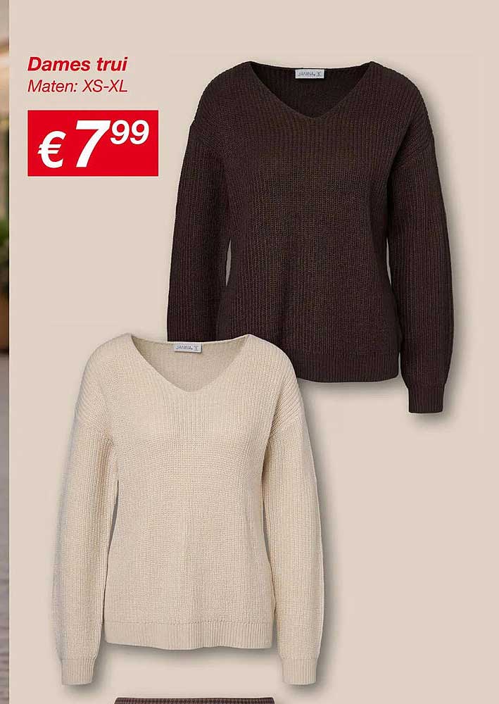Dames trui