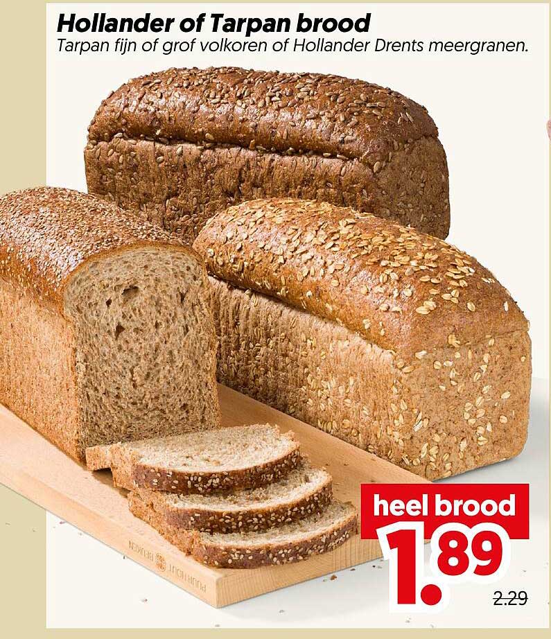 Hollander of Tarpan brood