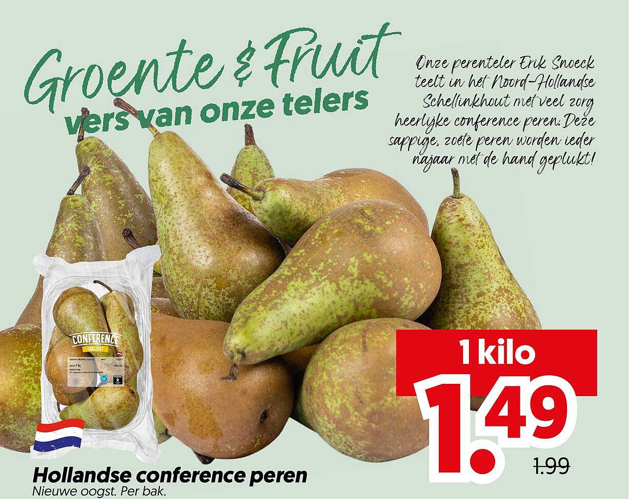 Hollandse conference peren