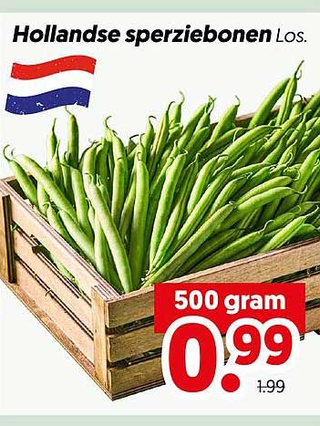 Hollandse sperziebonen Los