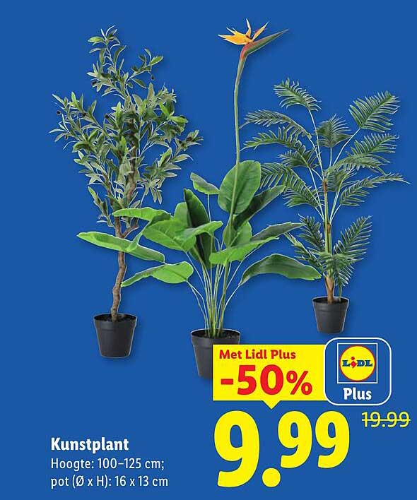 Kunstplant Met Lidl Plus -50%