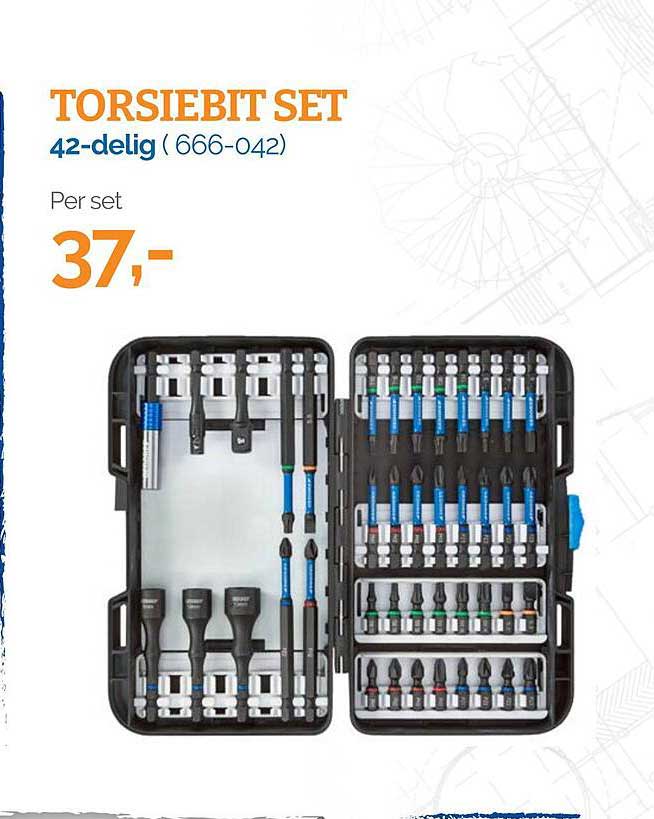 TORSIEBIT SET 42-delig (666-042)