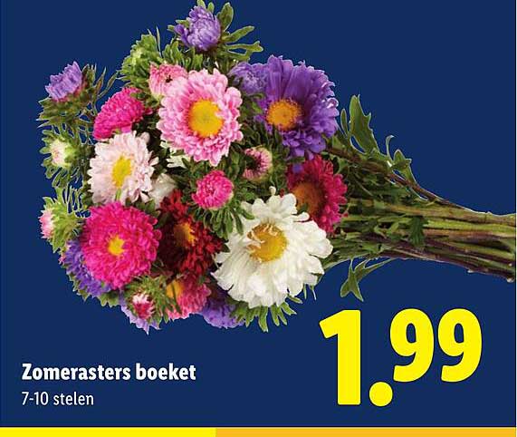 Zomerasters boeket 7-10 stelen