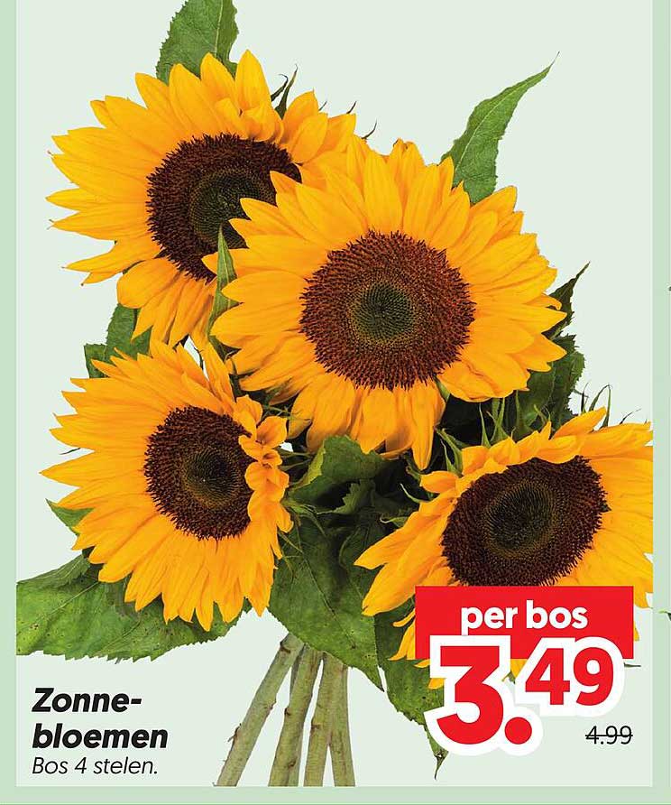 Zonne-bloemen Bos 4 stelen.