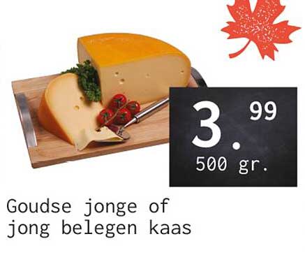 Goudse jonge of jong belegen kaas
