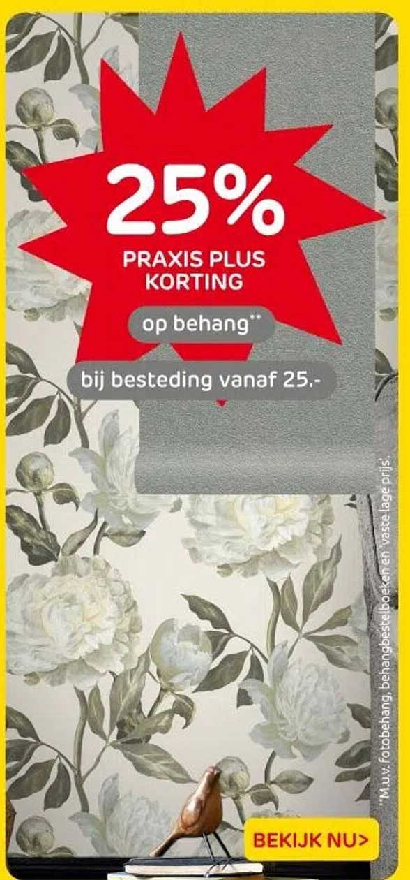 25% PRAKIS PLUS KORTING op behang** bij besteding vanaf 25.-