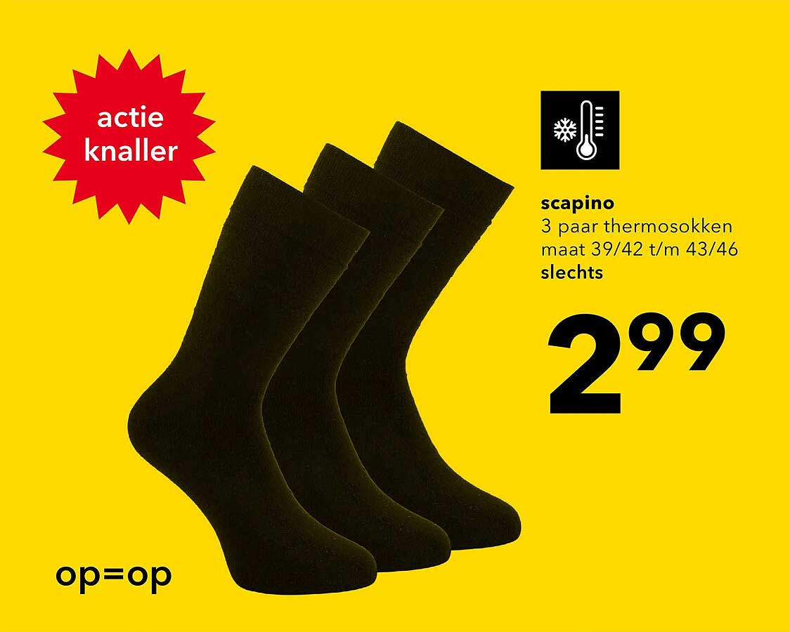 3 paar thermosokken maat 39/42 t/m 43/46