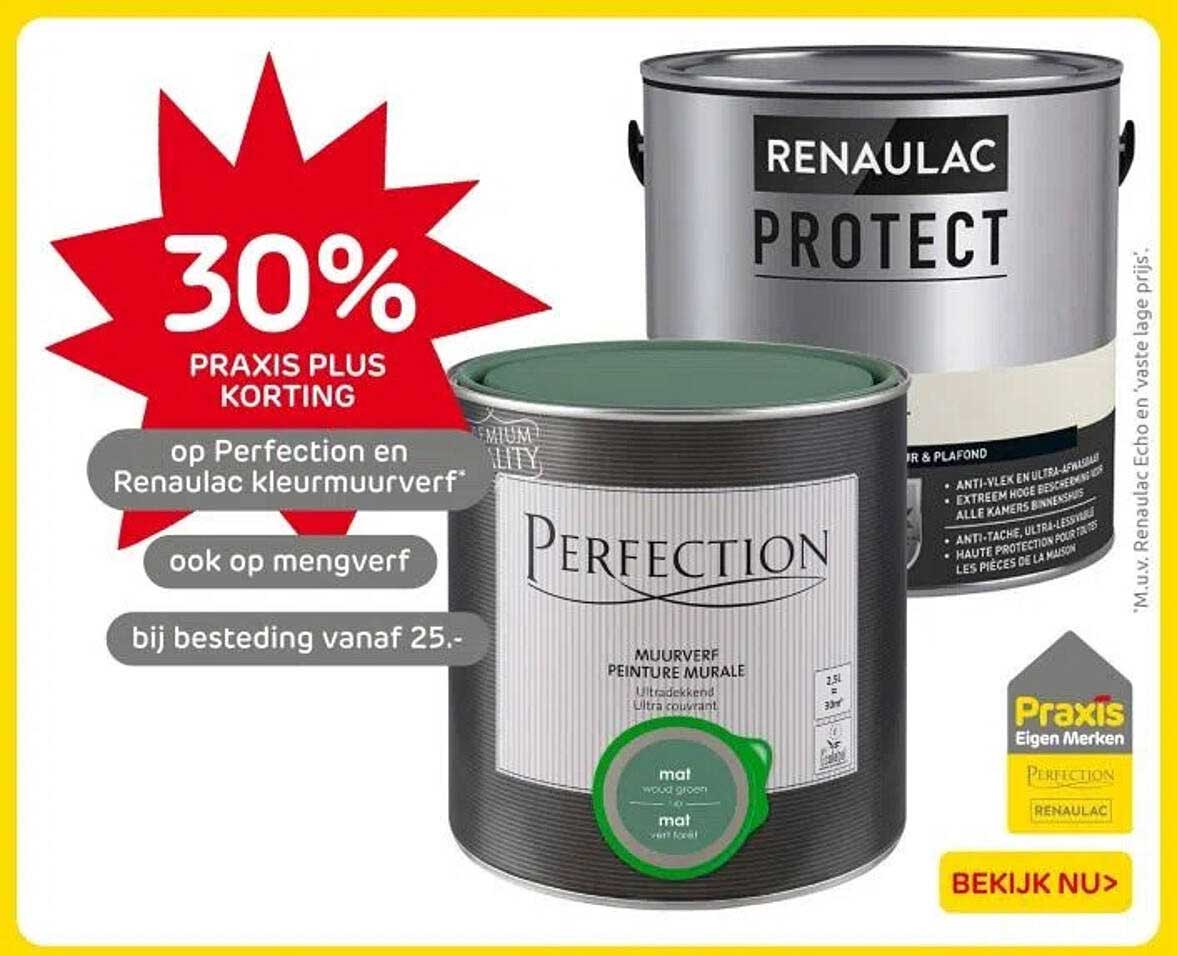 30% PRAXIS PLUS KORTING op Perfection en Renau lac kleurverf
