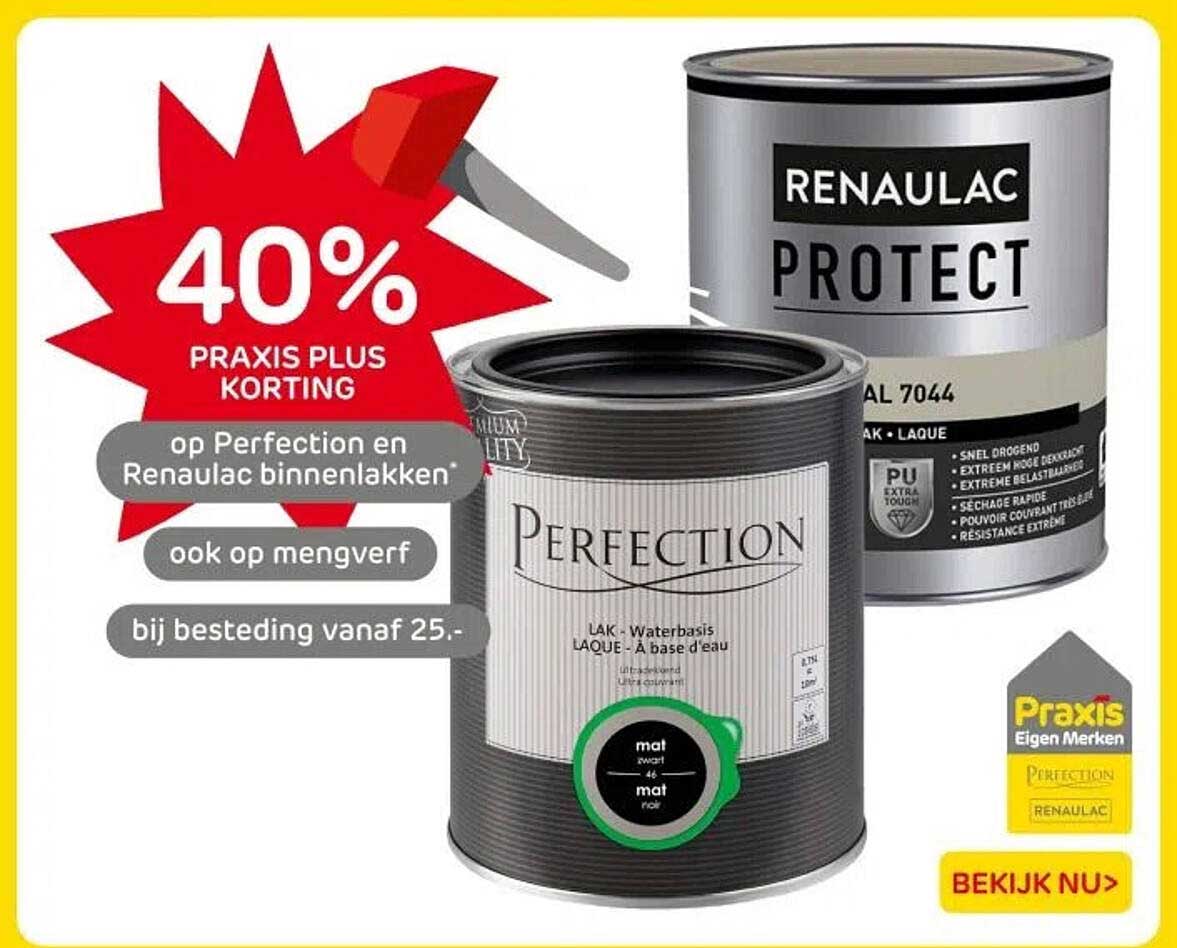 40% PRAKTIJS PLUS KORTING op Perfection en Renaualc binnenlakken