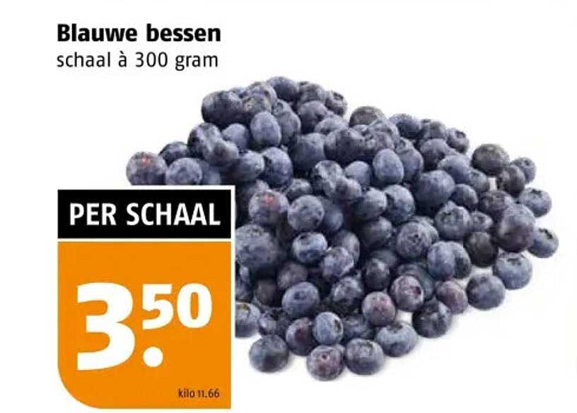 Blauwe bessen schaal à 300 gram