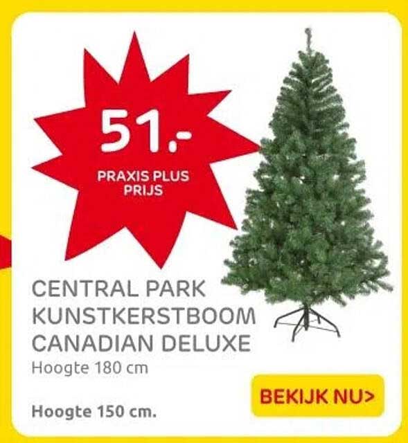 CENTRAL PARK KUNSTKERSTBOOM CANADIAN DELUXE