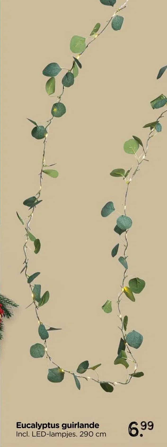 Eucalyptus guirlande incl. LED-lampjes 290 cm