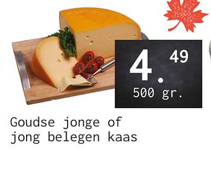 Goudse jonge of jong belegen kaas