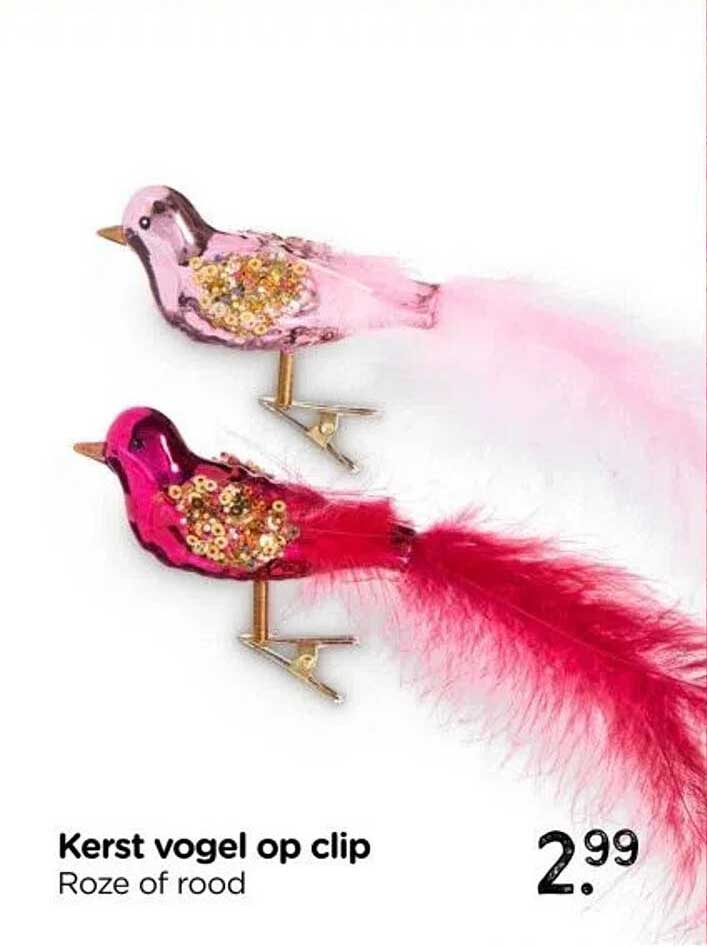 Kerst vogel op clip