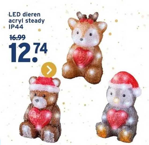 LED dieren acryl steady IP44