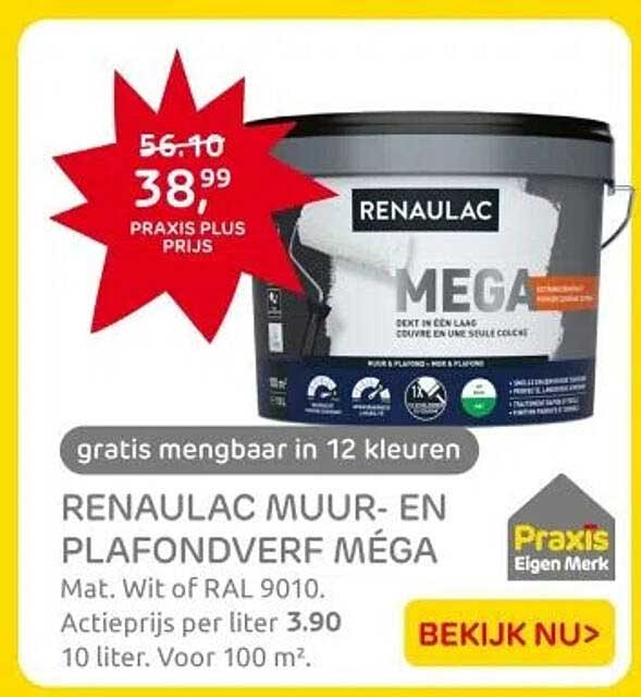 RENAULAC MUUR- EN PLAFONDVERF MÉGA