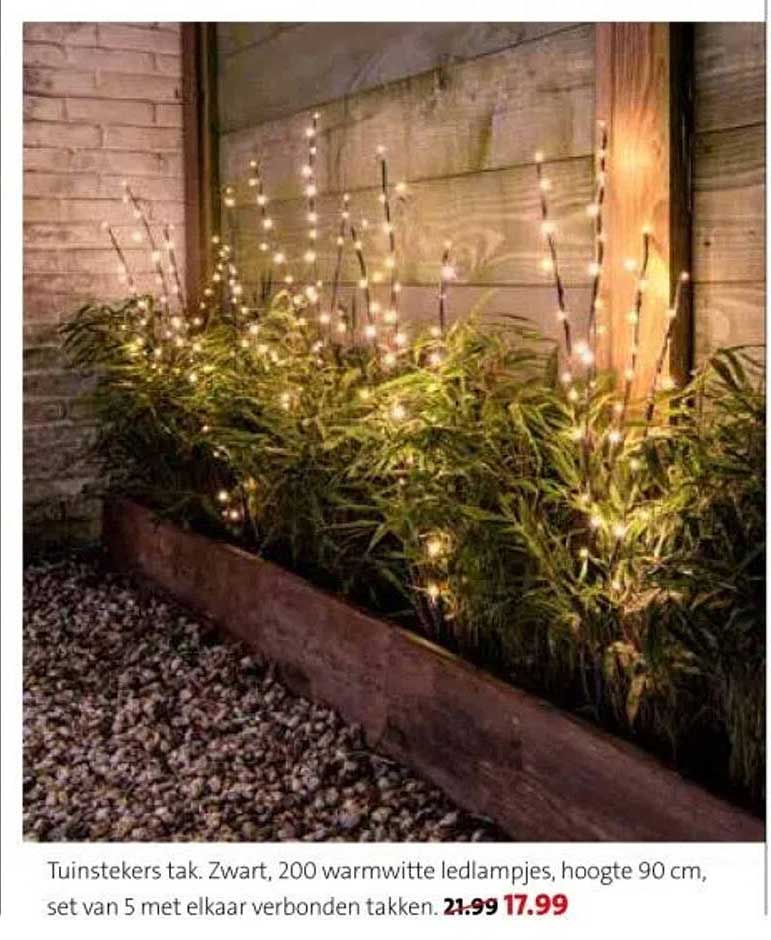 Tuinstekers tak. Zwart, 200 warmwitte ledlampjes, hoogte 90 cm, set van 5 met elkaar verbonden takken.