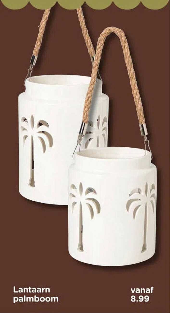 Lantaarn palmboom