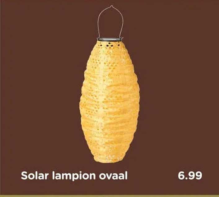 Solar lampion ovaal
