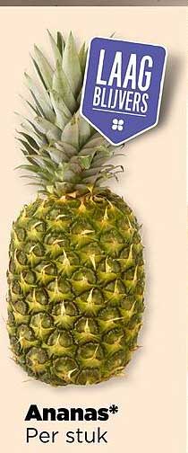 Ananas*