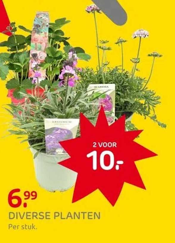 DIVERSE PLANTEN