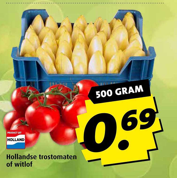 Hollandse trostomaten of witlof