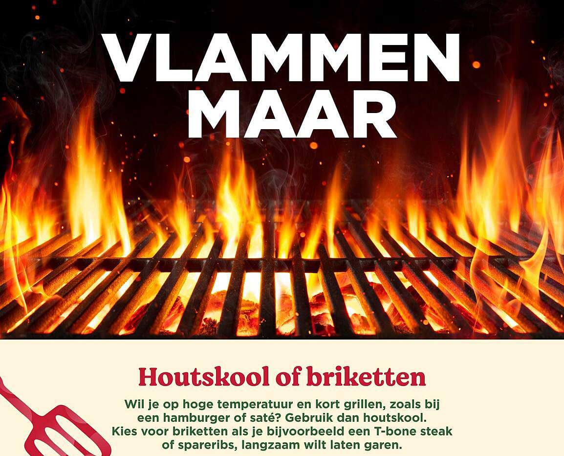 Houtskool of briketten