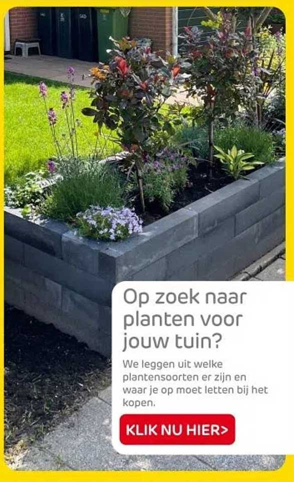 Op zoek naar planten voor jouw tuin?